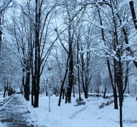 Повишена готовност за действие на Областен и Общински съвети за сигурност във връзка с метеорологичната прогноза за област Пазарджик