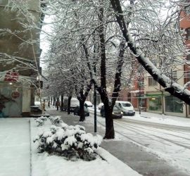 Община Панагюрище призовава гражданите да преместят паркираните автомобили от пътната и уличната мрежа