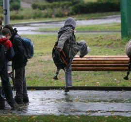 Комисията за борба с противообществени прояви е разгледала 19 възпитателни дела срещу 5 момичета и 12 момчета през 2016 г.