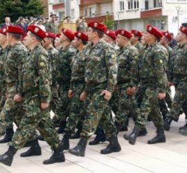 Парламентът въведе доброволна казарма и часове „за защита на родината“ в училище