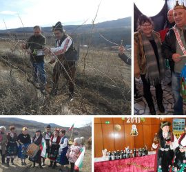Банци избраха за „Цар на виното 2019” Стоян Арбалиев