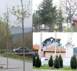 Продължава озеленяването в Панагюрище