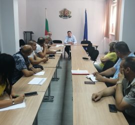 В област Пазарджик няма регистриран случай на Африканска чума по свинете, взети са превантивни мерки