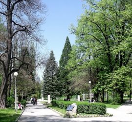 Домашни любимци на парад в Панагюрище днес