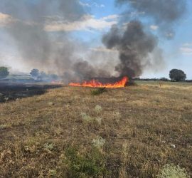 От РДПБЗН апелират: Не палете сухи треви, стърнища, отпадъци. Не хвърляйте незагасени цигари